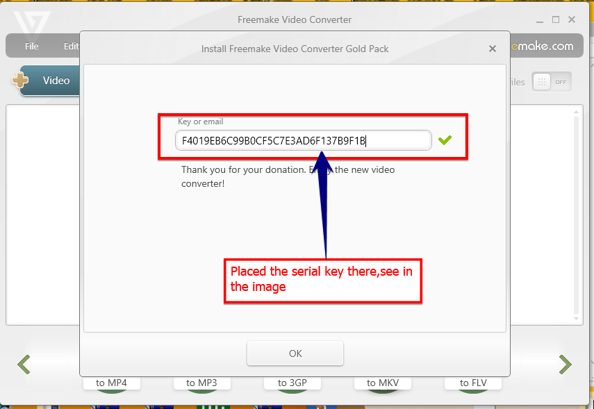 Freemake Video Converter Web Pack Serial Key